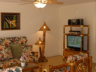 Living room HD TV